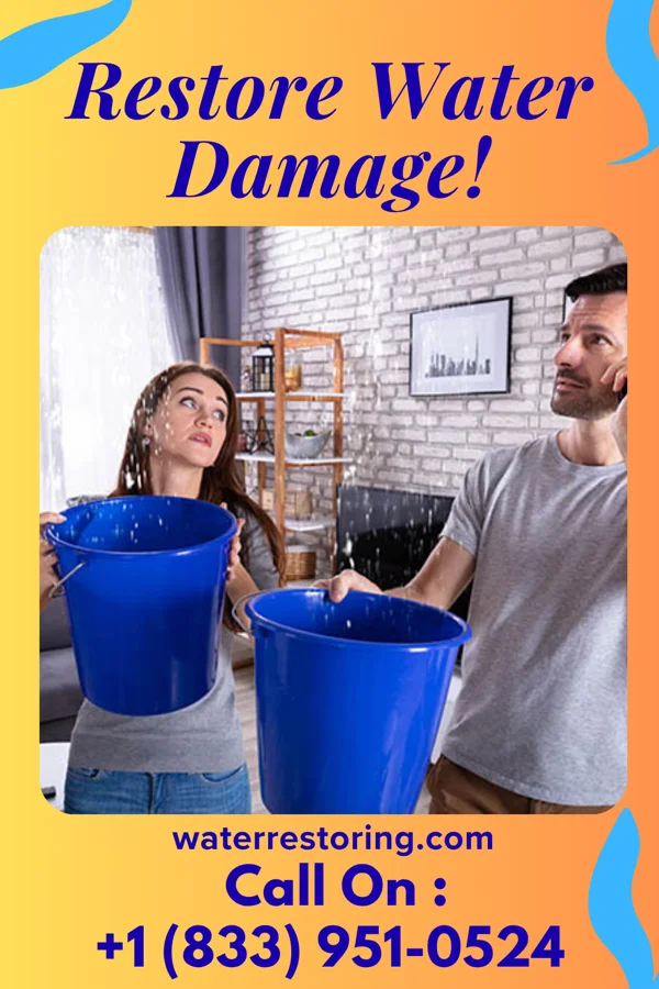 water restoration Elite Extraction Pros Earlton