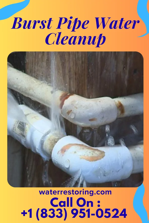Burst Pipe Water Cleanup in Earlton, KS
